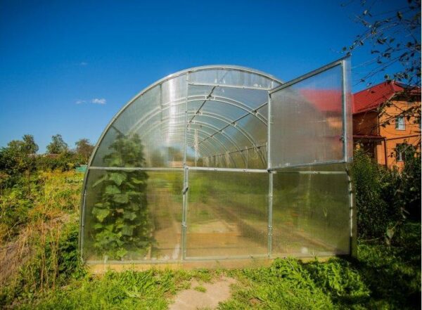 polykarbonátový skleník greenhouse
