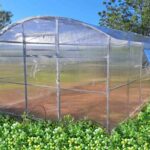 Polikarbonát üvegház